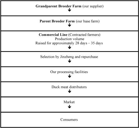 Duck Classification Chart