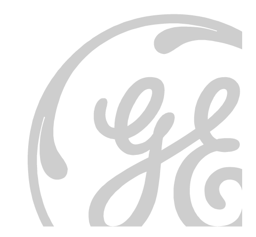 (GE Logo)