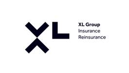 Description: XL_Logo_MS-Office_with_Segments.png