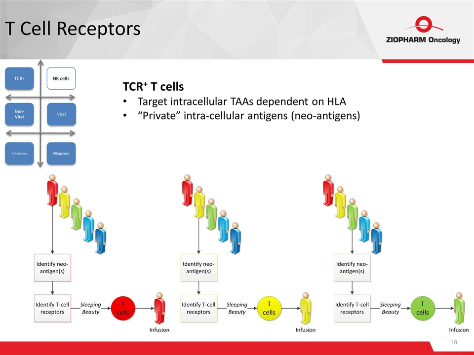 Slide 10