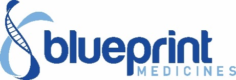 blueprint_logo_08