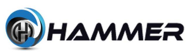 Hammer Fiber Optics  logo 2.jpg