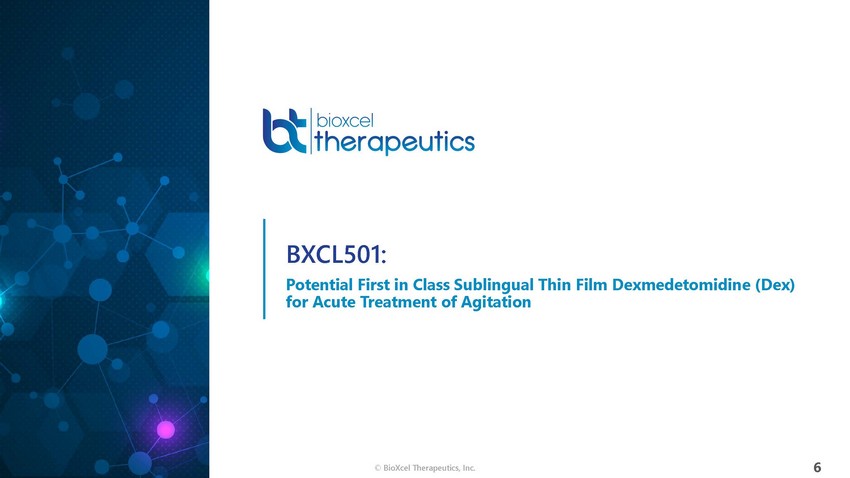 New Microsoft Word Document_bioxcel therapeutics presentation_april 14_page_06.jpg