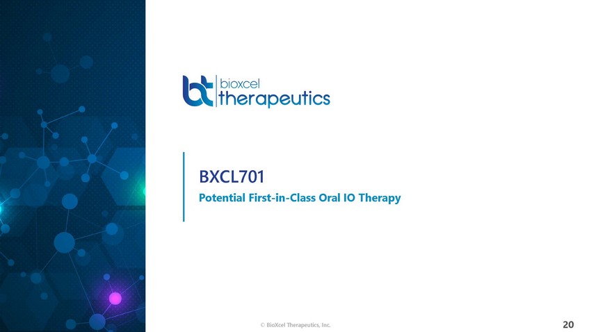 New Microsoft Word Document_bioxcel therapeutics presentation_april 14_page_20.jpg