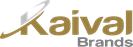 Image result for kaival brands logo