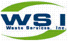 (WSI LOGO)