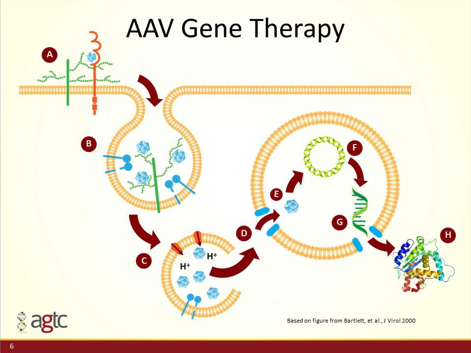 Slide 6