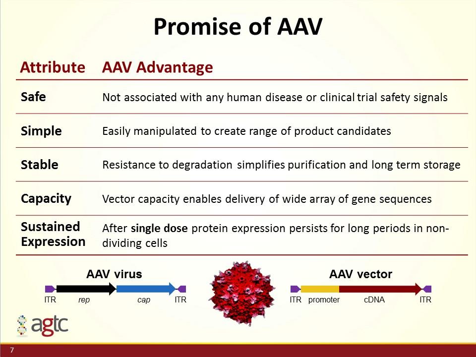 Slide 7