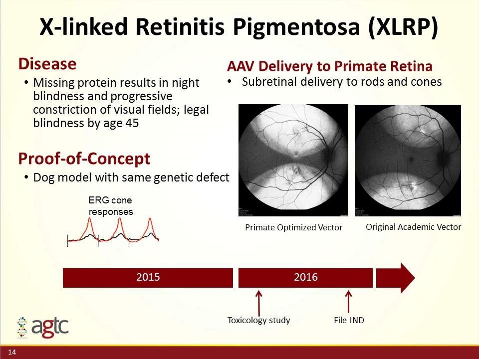 Slide 14