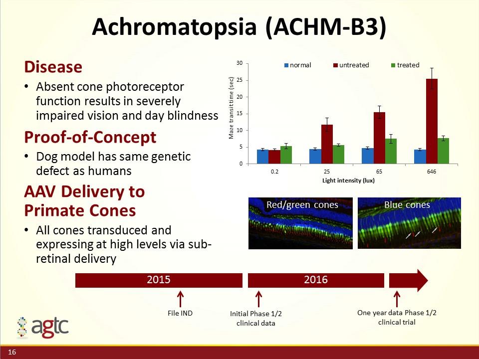 Slide 16