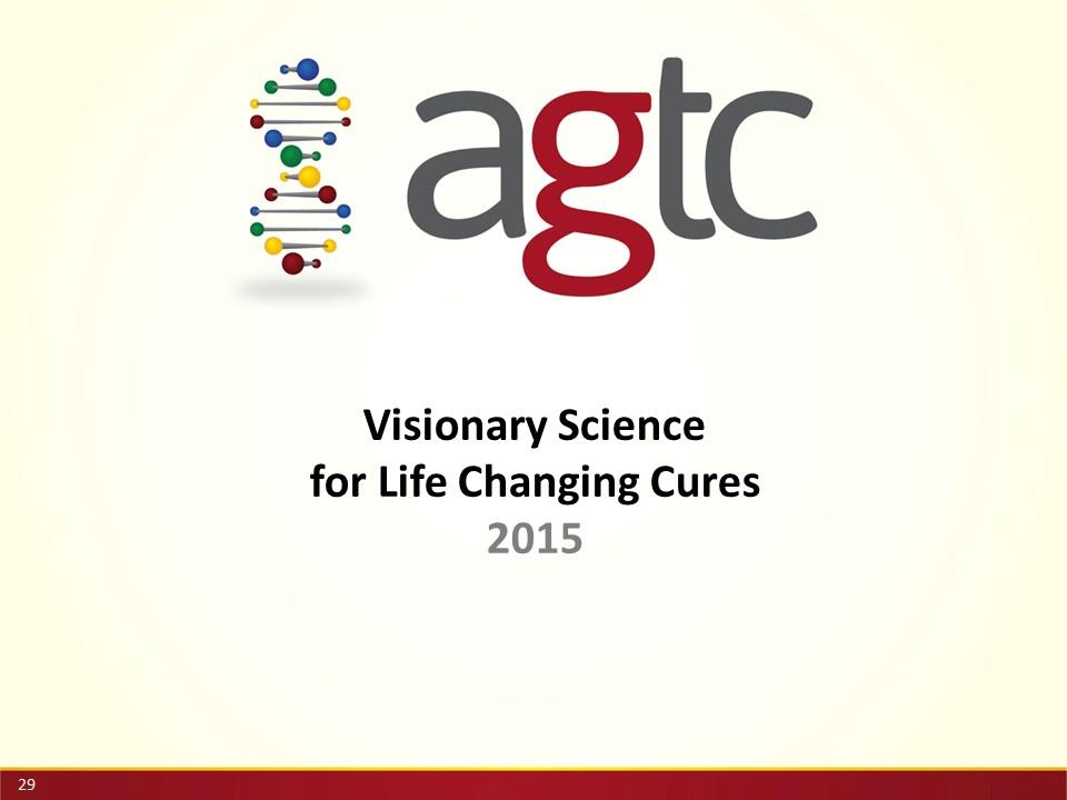 Slide 29