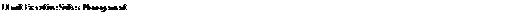 Text Box: LI mit Ex cutive Suites Management