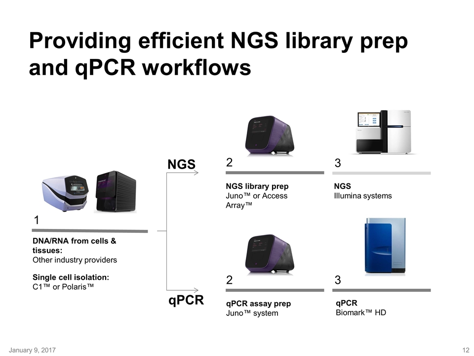 Slide 12
