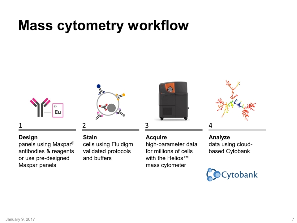 Slide 7