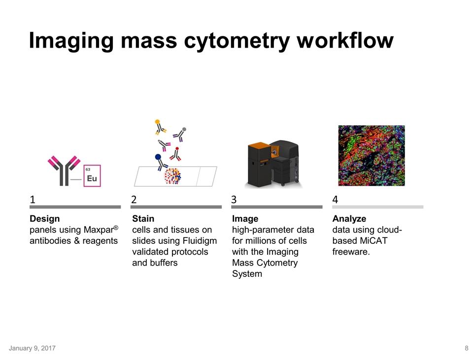 Slide 8