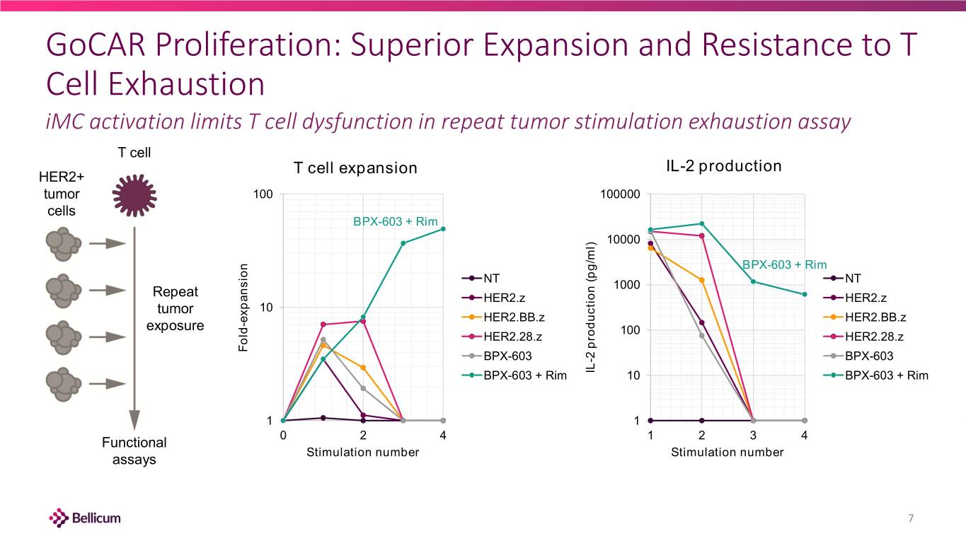 slide7