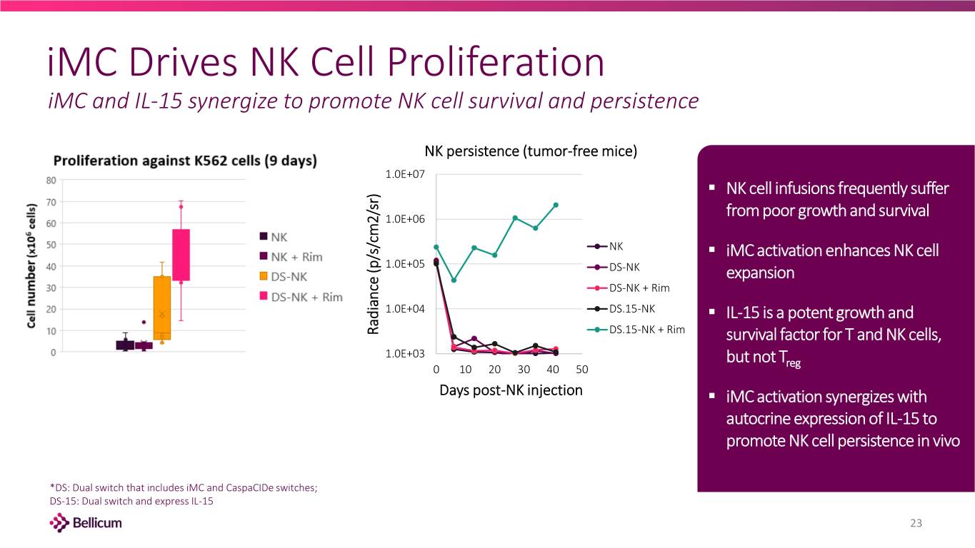 slide23
