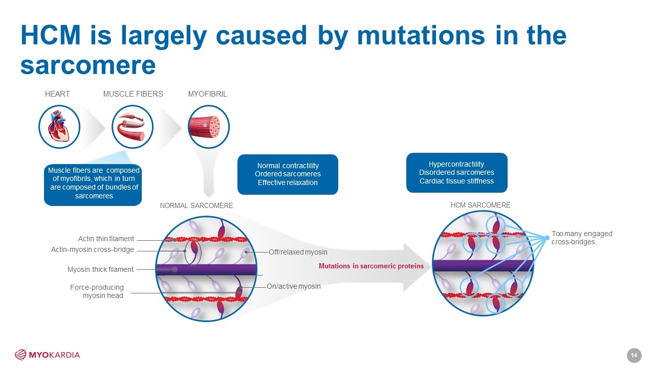 Slide 14