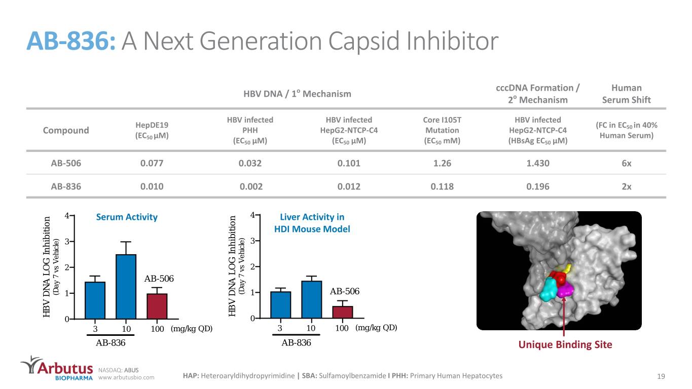 slide19