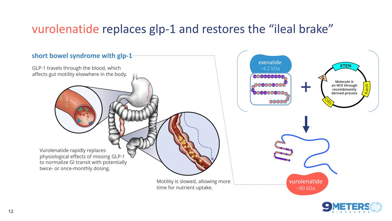 slide12
